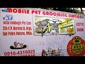 Mobile Pet Grooming Service