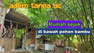 Rumah di bawah pohon bambu, rumah unik sejuk dan asri