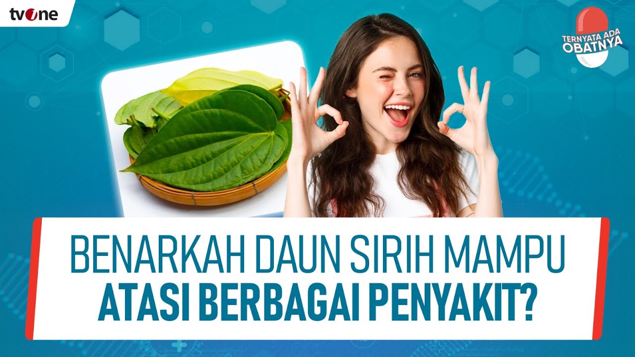 Jenis dan Perbedaan Manfaat Daun Sirih Untuk Kesehatan | Ternyata Ada Obatnya