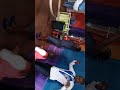 Twende Sayuni Kwa Baba Twende Sayuni Kwa Baba