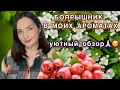 НОТА БОЯРЫШНИКА В МОИХ АРОМАТАХ | ВЕСЕННЯЯ ПОДБОРКА | Люкс, #бюджетнаяпарфюмерия #духи #ароматывесны