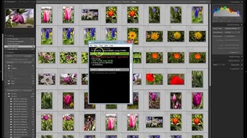 Adobe Lightroom 6 Performance review vs LR 5.7 and Camera Raw 9 in exporting pictures
