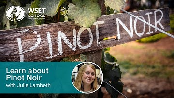 Learn about Pinot Noir with Julia Lambeth DipWSET