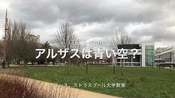 Coquelicots Youtube