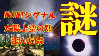 【謎3選】歪んだ森　太陽上空（コロナ）の温度　WOW！シグナル