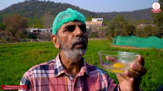 Judging Egg Quality Egg Yolk And Egg White Shell Hardness