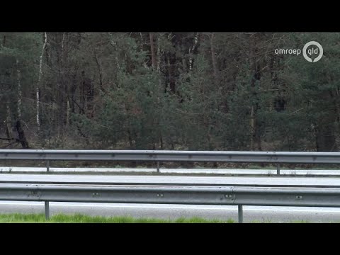 GLD Nieuws 11 maart 2020