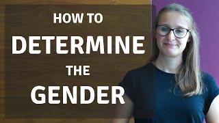 How to Determine the Gender of Nouns (2/3 of the Series on Gender)