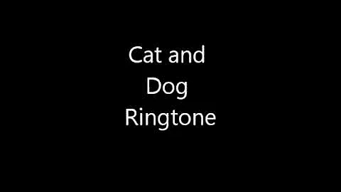 Funny Ringtone Cat and Dog Ringtone (Download)