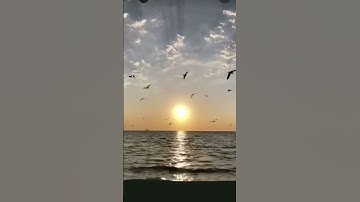 افضل الذكر القران الكريم اية الكرسي في الصباح و المساء