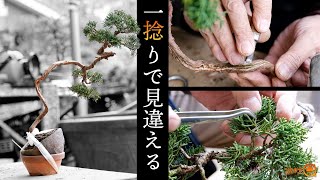 Winter Shinkashiwa that looks different with a twist