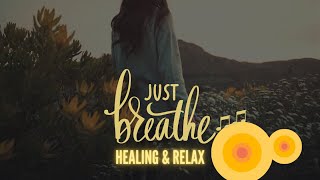 Your Serene Sanctuary: Relaxing Music for Stress Relief and Feeling Good #relaxingmusic