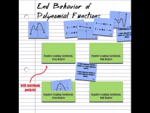Video: Watter soort polinoom is?
