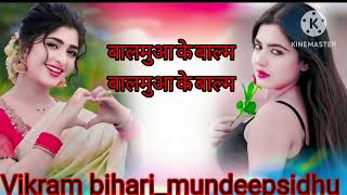 balamuwa ke ballam (latest bhojpuri song 2024) Samar , Singh Neha raj & #namrita malla