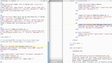 WordPress Tutorial: Customizing Comments Form 2/2 [HTML2WP screencast]