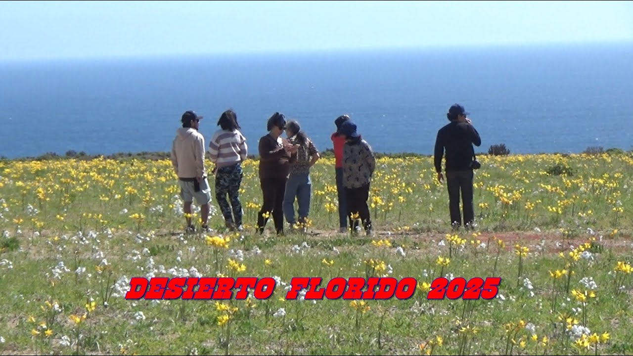 DESIERTO FLORIDO 2025
