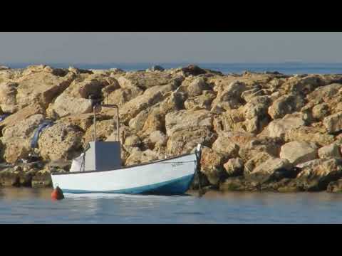 Astrophy Brian Hirthe Monir Musical 