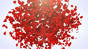 Rose Petals Logo Reveal | Videobolt.net Intros | Create a logo intro online in minutes