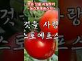 모든 것을 사랑하라/ 도스토예프스키 #아기토끼 #Shorts