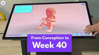 Human Anatomy 3D Model | نموذج تشريحي ثلاثي الأبعاد لجسم الإنسان