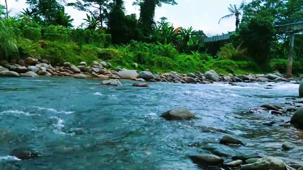 Peaceful River Ambience for Sleep | Relaxing River Sound Natural sounds to help sleep, good mood