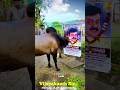முதலாம் 🥺ஆண்டு 😣🕯️கண்ணீர் 🕯️அஞ்சலி /மக்கள் திலகம் கேப்டன் ஐயா 😭// #vijayakanth #sad #song #bulls