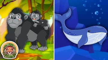 Learn ALL About Mammals! | Animal Songs For Kids | KLT WILD