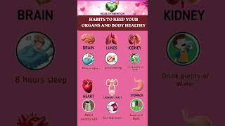 Healthy Habit for Every Organ | Brain, Heart, Kidney &amp; Gut Care Tips #healthtips #healthyeating