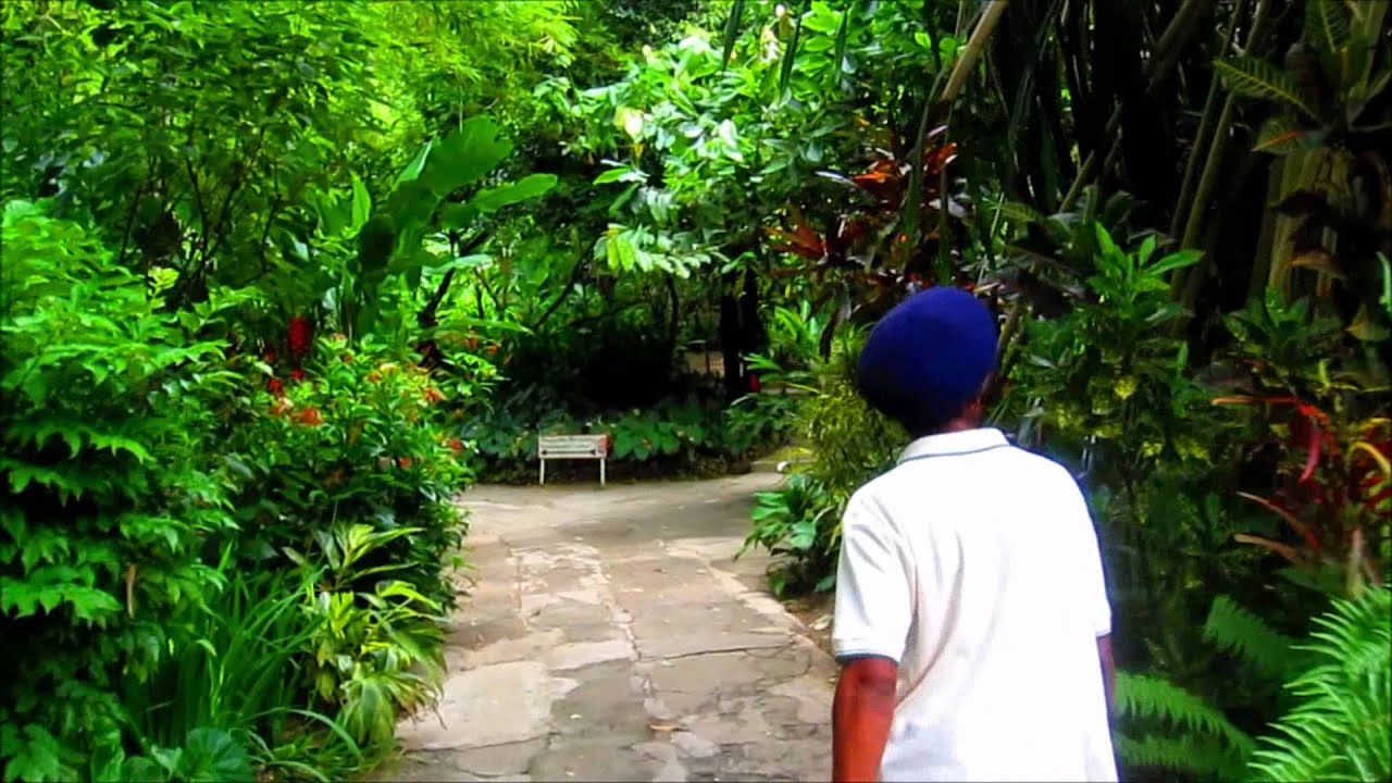 The Diamond Botanical Gardens In Saint Lucia