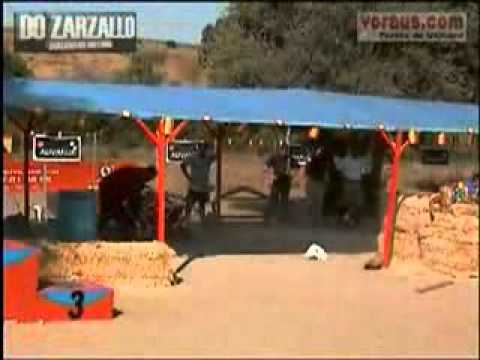 AEM 2005, Campeonato de Espaa de Mondioring - Grado III.flv