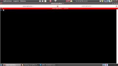 Hacking con Python - Parte V Conceptos Básicos sobre Scapy