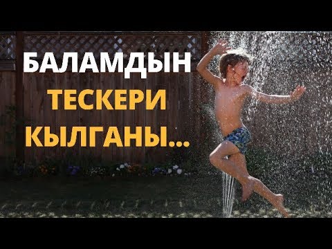 Video: Тескери мамиле деген эмне