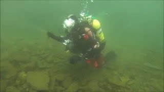Ladder Dive, Dorothea