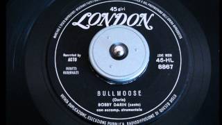 Video thumbnail of "Bobby Darin - BULL MOOSE"
