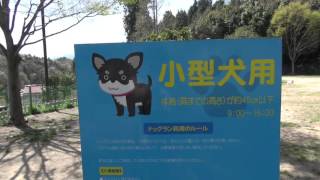 花みどり公園 ドッグラン Youtube