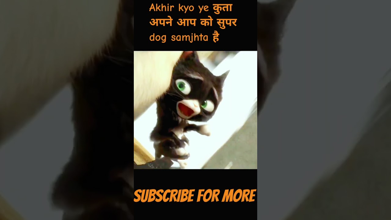Cartoon ki duniya
