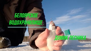 Рыбалка на Белоярском водохранилище Домик лесника 