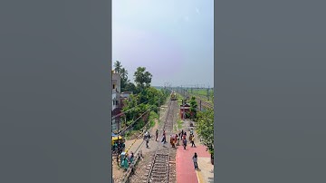 Emu Entry at Railgate #shorts