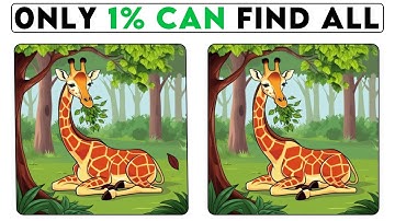 Only the Sharpest Eyes Will Pass This Test ! | Spot The Difference