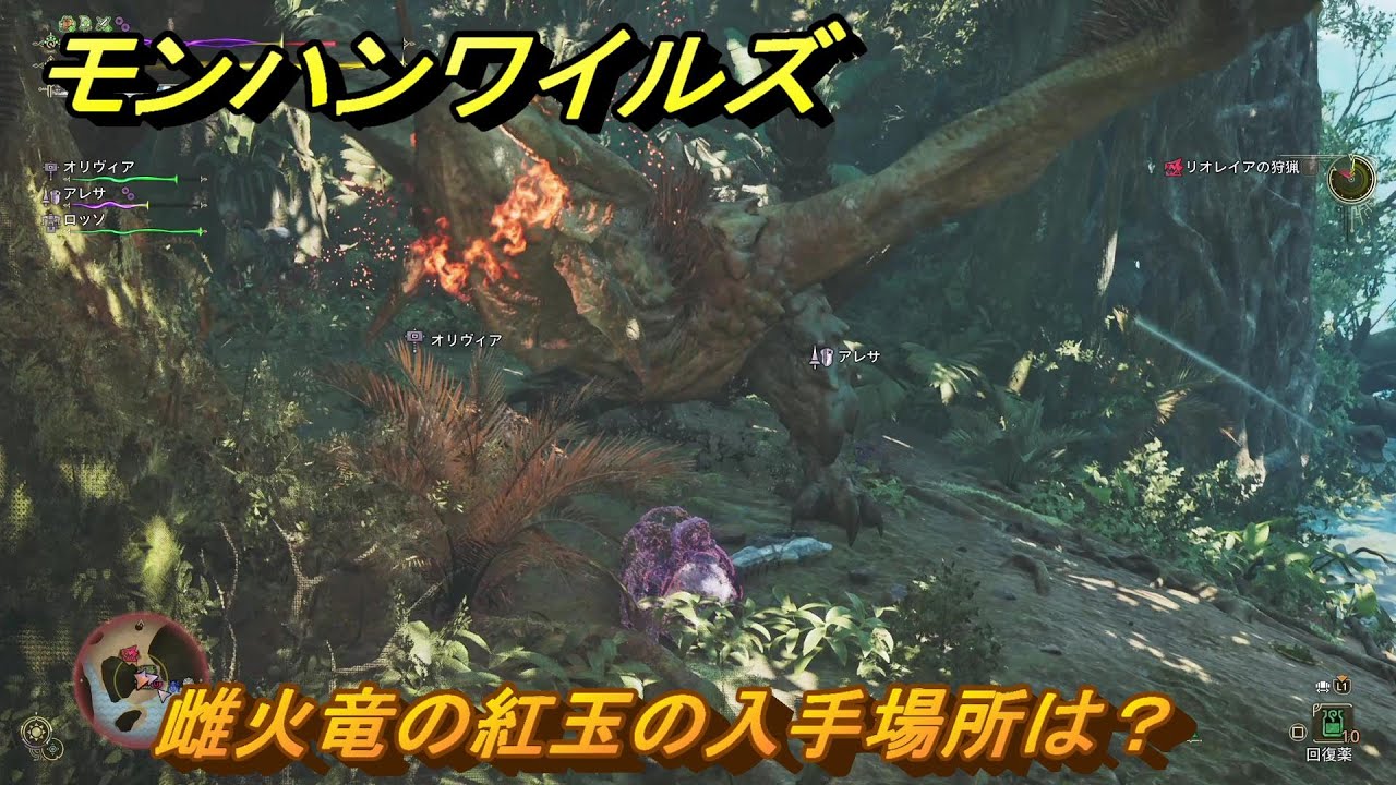 モンハンワイルズ 雌火竜の紅玉の入手場所は？ 武器・防具素材集め入手