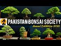 Annual bonsai exhibition 2022  pakistan bonsai society  xia mujahid