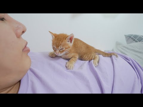 <strong>Baby</strong> kitten that comes to <strong>me</strong> and sleeps when I <strong>call</strong> him