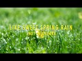 Like Sweet Spring Rain 春の雨のように