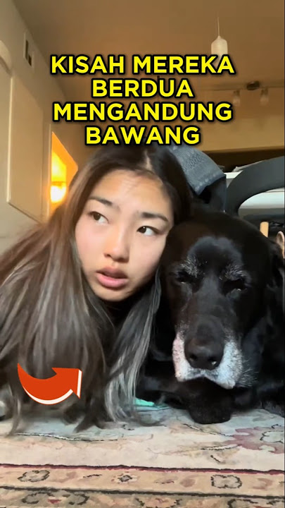 6 Precious Hours for This Girl with Her Dog 😢🐶 #shorts #dog