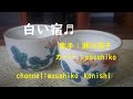 瀬川瑛子/白い宿(カバー)masahiko