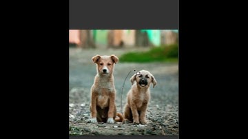 Remove any objects In photoshop #shorts