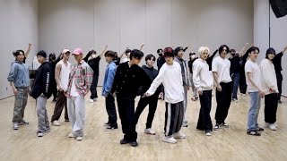 [Seventeen - Don Quixote] Dance Practice Mirrored