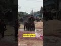 Holi masti bihar