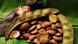 Health benefits of Pracaxi Oil