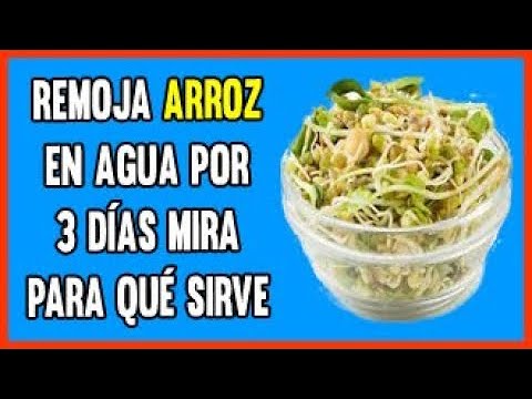 Video: ¿Es saludable el arroz integral germinado?